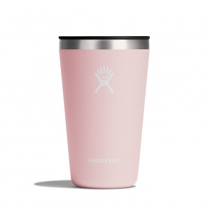 Hydro Flask 16 oz All Around™ Tumbler Trillium | ARCF-24017