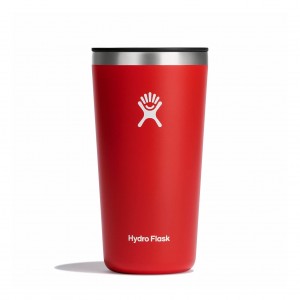 Hydro Flask 20 oz All Around™ Tumbler Goji | JUYL-39682