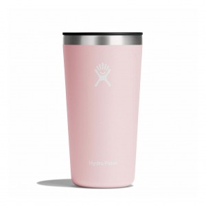 Hydro Flask 20 oz All Around™ Tumbler Trillium | IPCD-57316