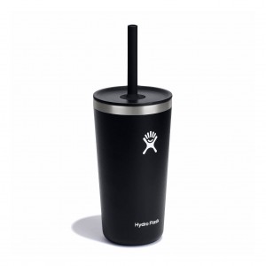 Hydro Flask 20 oz All Around™ Tumbler with Straw Lid Sort | ILFB-62945