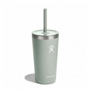 Hydro Flask 20 oz All Around™ Tumbler with Straw Lid Agave | BTRO-17965