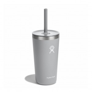 Hydro Flask 20 oz All Around™ Tumbler with Straw Lid Birch | CRIO-30416