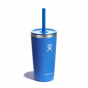 Hydro Flask 20 oz All Around™ Tumbler with Straw Lid Cascade | SVKA-15932