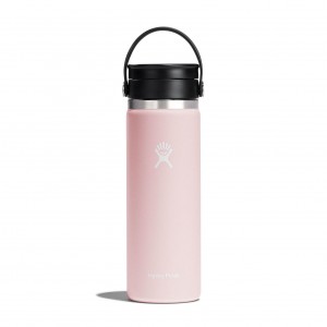 Hydro Flask 20 oz Coffee with Flex Sip™ Lid Trillium | JOQM-59680