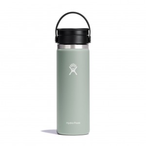 Hydro Flask 20 oz Coffee with Flex Sip™ Lid Agave | TSUJ-93260