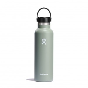 Hydro Flask 21 oz Standard Mouth Agave | GVHW-05638