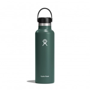 Hydro Flask 21 oz Standard Mouth Fir | RWNK-79862