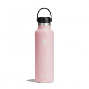 Hydro Flask 21 oz Standard Mouth Trillium | IEMW-35964