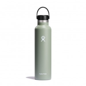 Hydro Flask 24 oz Standard Mouth Agave | EDUX-52369