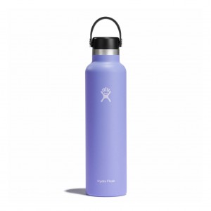 Hydro Flask 24 oz Standard Mouth Lupine | VWTB-15728