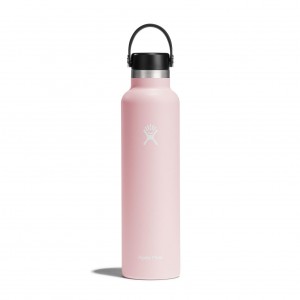 Hydro Flask 24 oz Standard Mouth Trillium | QAWN-92615