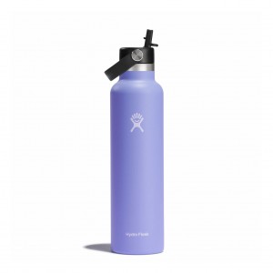 Hydro Flask 24 oz Standard Mouth with Flex Straw Cap Lupine | QTHM-13562