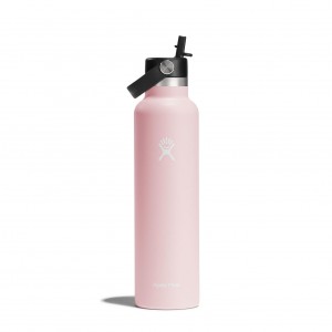 Hydro Flask 24 oz Standard Mouth with Flex Straw Cap Trillium | YTJC-71653