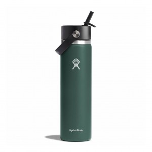 Hydro Flask 24 oz Wide Mouth with Flex Straw Cap Fir | BXYK-68093