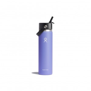 Hydro Flask 24 oz Wide Mouth with Flex Straw Cap Lupine | IYOU-52603