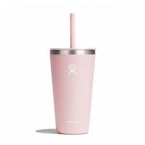 Hydro Flask 28 oz All Around™ Tumbler with Straw Lid Trillium | OAEH-42719