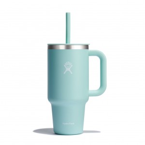 Hydro Flask 32 oz All Around™ Travel Tumbler Dew | LRZV-39457