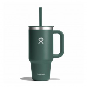 Hydro Flask 32 oz All Around™ Travel Tumbler Fir | CVBR-50931