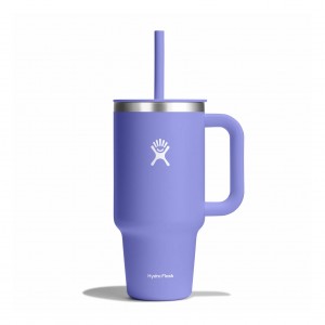 Hydro Flask 32 oz All Around™ Travel Tumbler Lupine | JSVO-97638