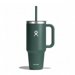 Hydro Flask 40 oz All Around™ Travel Tumbler Fir | LWUH-54391