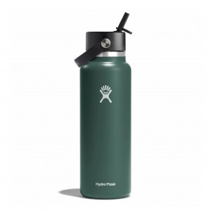 Hydro Flask 40 oz Wide Mouth with Flex Straw Cap Fir | TJXD-68137