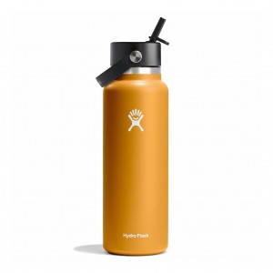 Hydro Flask 40 oz Wide Mouth with Flex Straw Cap Fossil | FEBD-06457