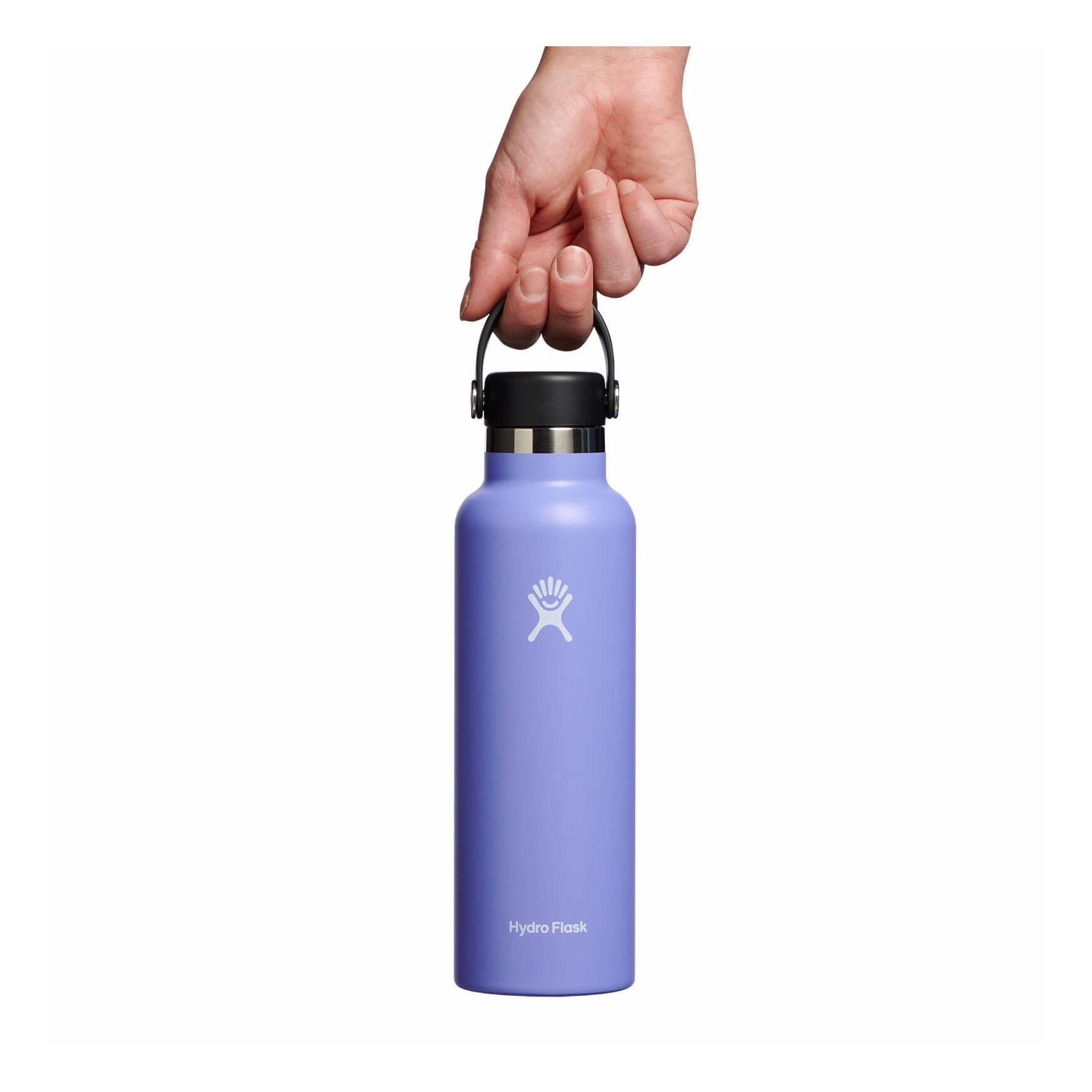 Hydro Flask 21 oz Standard Mouth Lupine | BHDV-92638