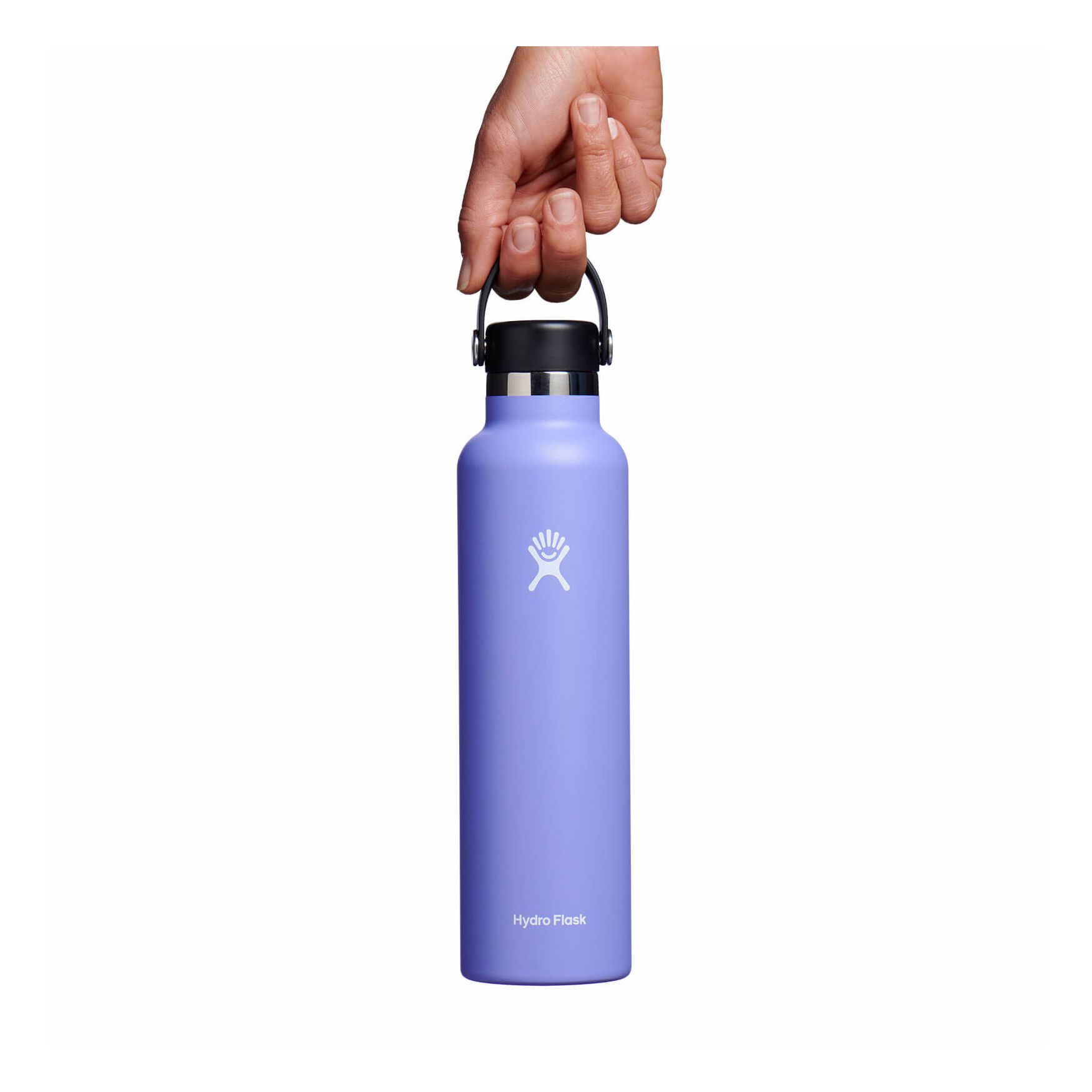 Hydro Flask 24 oz Standard Mouth Lupine | VWTB-15728