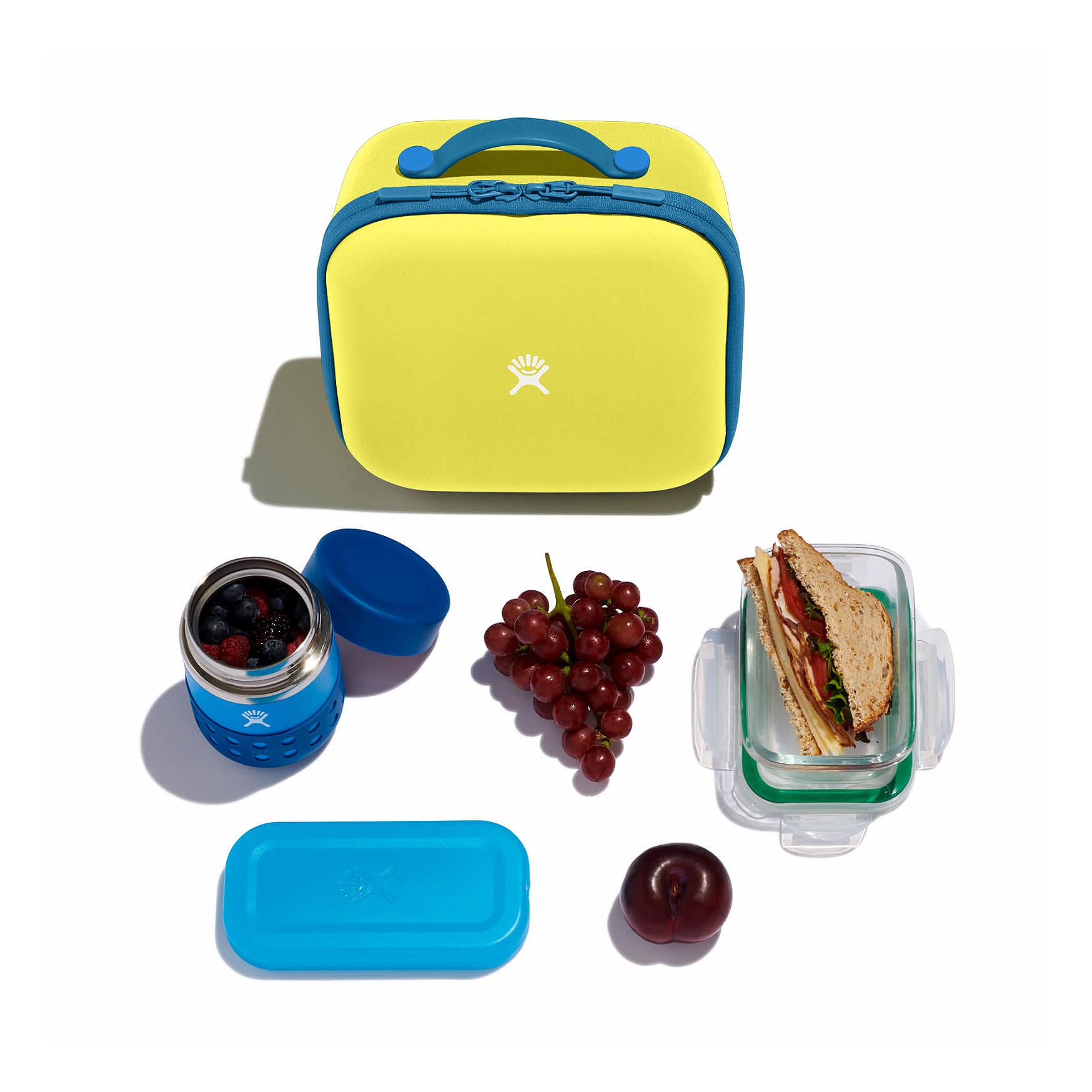 Hydro Flask Kids Insulated Lunch Box Cactus | MBJR-46102